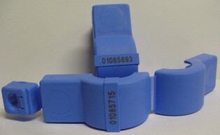 905631